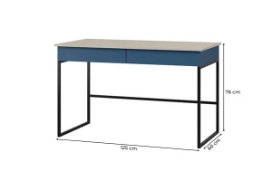 LIMA 10 bureau, 125 cm breed, met 2 lades, opbergvak Kinder Meubels 24