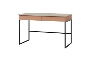 LIMA 10 bureau, 125 cm breed, met 2 lades, opbergvak Kinder Meubels 24