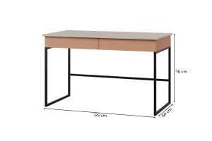 LIMA 10 bureau, 125 cm breed, met 2 lades, opbergvak Kinder Meubels 24