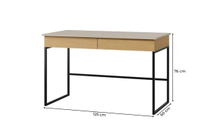LIMA 10 bureau, 125 cm breed, met 2 lades, opbergvak Kinder Meubels 24